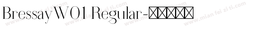 BressayW01 Regular字体转换